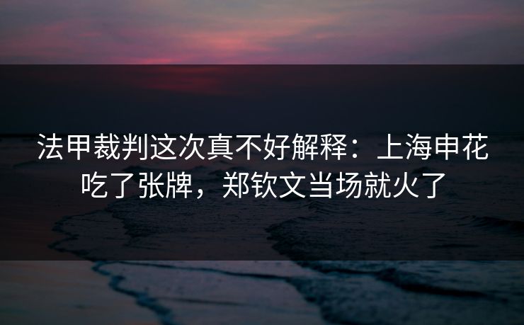 法甲裁判这次真不好解释：上海申花吃了张牌，郑钦文当场就火了